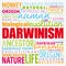 Darwinism word cloud collage, education concept background