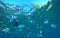 Dascillus tropical fish in blue sea water underwater photo. Exotic lagoon with ocean life.