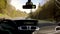 Dashboard View Driving through Dense Forest European Landscape Highway