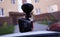 DashCam for car. Details and close-up.