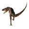Daspletosaurus Dinosaur Carnivore