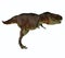 Daspletosaurus Dinosaur Hunter