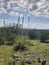 Dasylirion Texanum With a view, Government Canyon, San Antonio Texas