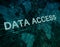 Data Access