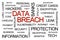 Data Breach Word Cloud