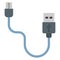Data cable, ethernet cable Color Vector icon which can easily modify or edit