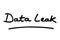 Data Leak