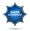 Data Management magical glassy sunburst blue button