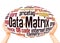 Data Matrix word cloud sphere concept