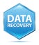 Data Recovery crystal blue hexagon button