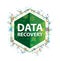 Data Recovery floral plants pattern green hexagon button