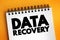 Data recovery - process of salvaging deleted, lost, corrupted, damaged or formatted data from removable media or files, text