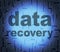 Data Recovery Shows Getting Back And Bytes