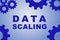DATA SCALING concept