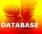 Database data storage