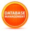 Database Management Natural Orange Round Button