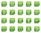 Database web icons, green sticker series