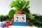 Date 25th December with plants and Christmas decoration background 