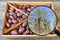 Date fruits in package. Agricultural date palm trees plantation shown in magnifying glass. Food product and agricultural plantatio