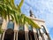 date palm leaves in the middle of the Islamic Center Samarinda mosque area