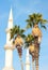 Date Palm Trees and Beautiful Minaret