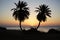 Date palms against the backdrop of sunrise over the Red Sea in the Gulf of Aqaba. Dahab, South Sinai Governorate, Egypt