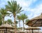 date palms and beach umbrellas from the reeds are shot from below against the blue sky and clouds