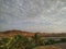 Date palms, mountain and sky