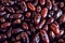 Dates date palm fruits displayed at food market