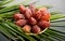 Dates fruit. Date fruits with palm tree leaf on black background. Heap of Medjool dates in wooden bowl