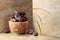 Dates fruit in a wooden bowl on a beige ceramic table