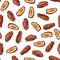 Dates fruits seamless pattern. Vector illustration of dried fruits on a white background