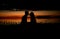 Dating couple kissing being romantic beside the sea in the warm evening