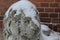 Daugavpils, Latvia, Europe. Snow covered on the lion statue. Winter is one of the best times to go in long walk. Cold temperatures