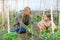 Daughter helps father clean weeds in garden beds closeup