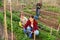 Daughter helps mom to water plants from a watering can in farm field