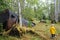 A daughter and mother exploring an abandoned settlement, including an old car and oil drum, surrounded by forest