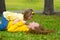 Daughter and mother playing lying on park lawn