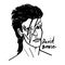 David bowie vector cartoon illustration black and white drawing