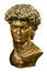 David bronze bust isolated