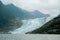 Davidson Glacier - Alaska