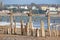 Dawlish Warren Beach, Devon