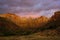 Dawn Colors, Zion