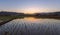 Dawn colours over rice field with water in Caotun in Taiwan with the famous 99 peaks in the background