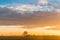 Dawn on cultivated fields