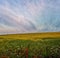 Dawn field at sunrise, Blue sky& x27;s and yellow fields