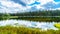 Dawn Glow Pond near Lac Le Jeune near Kamloops, British Columbia, Canada