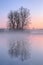 Dawn, Jackson Hole Lake