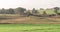 Dawn landscape in the fields of the pampas region of the State of Rio Grande do Sul in southern Brazil