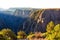 Dawn light on the steep cliffs and native foliage of Black Canyon of the Gunnison National Park in Colorado